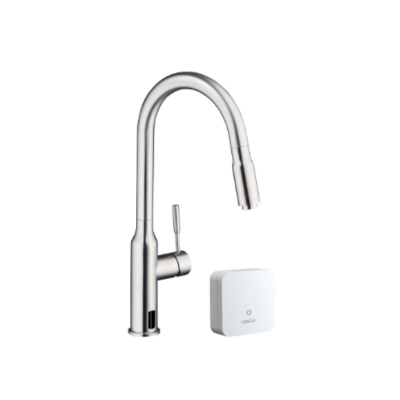Caesar Plasma Antimicrobial Kitchen Faucet KP1035SA