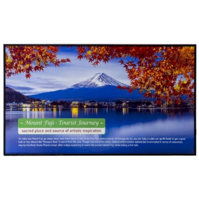 E Ink Spectra 6