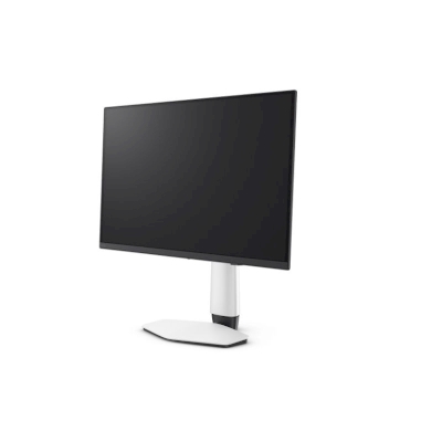 BenQ MOBIUZ EX Series OLED Gaming Monitor